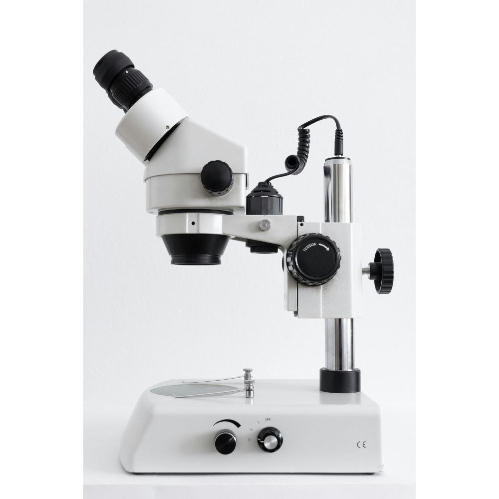 LOUPE BINOCULAIRE Image