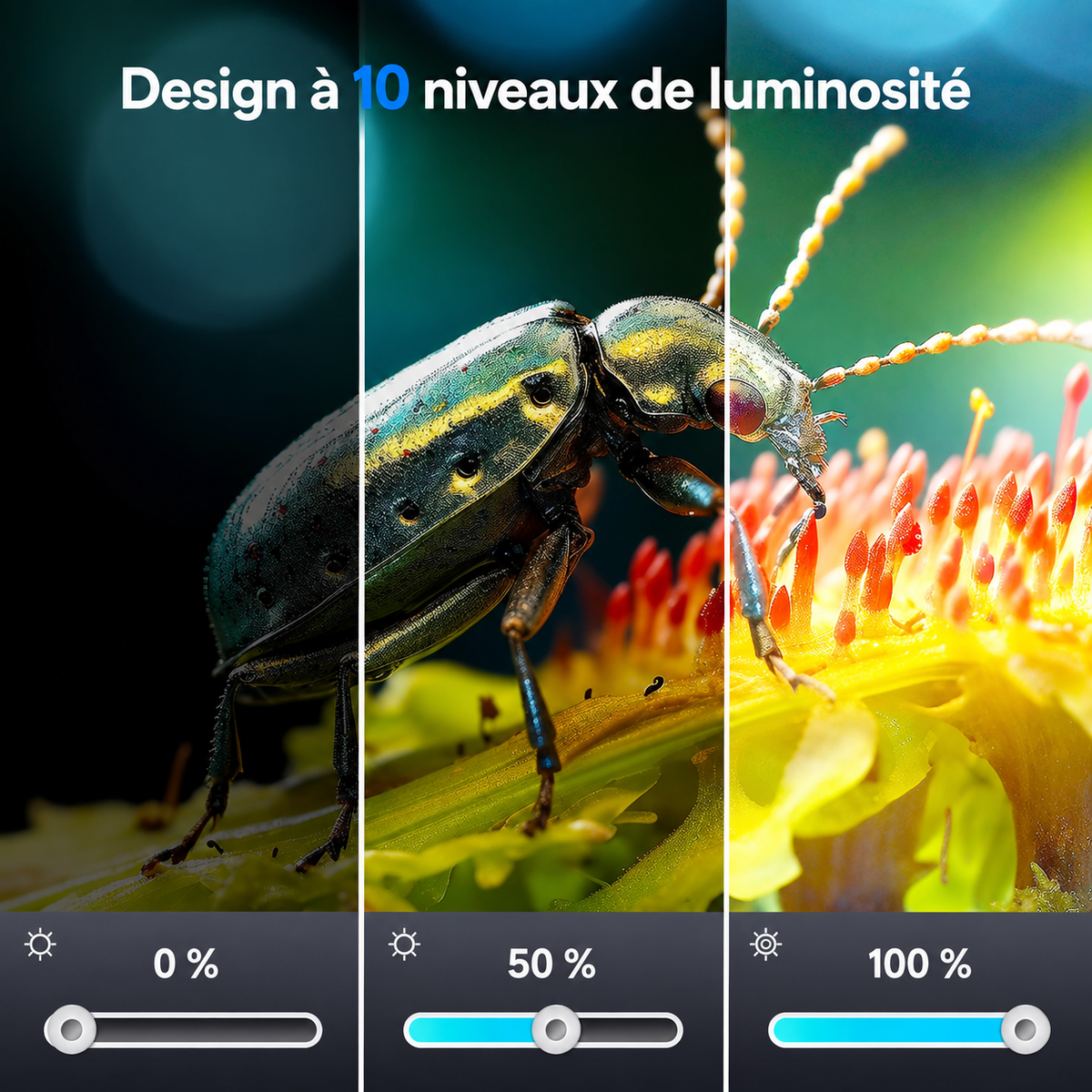 Microscope Numérique HDMI