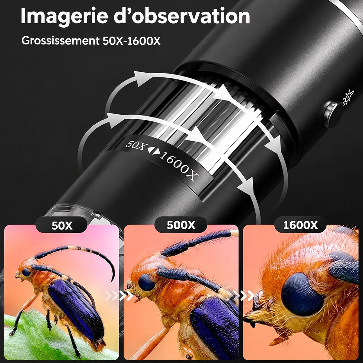 Microscope numérique Portable